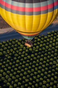 hot-air-balloon-flying-over-field-street