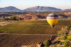 hot-air-balloon-over-california-vineyard
