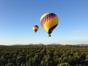 hot-air-balloon-over-vineyard