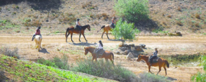 Horseback at Green Acres Ranch