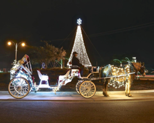 Jingle Bell Sleigh Ride at Temecula Carriage Company