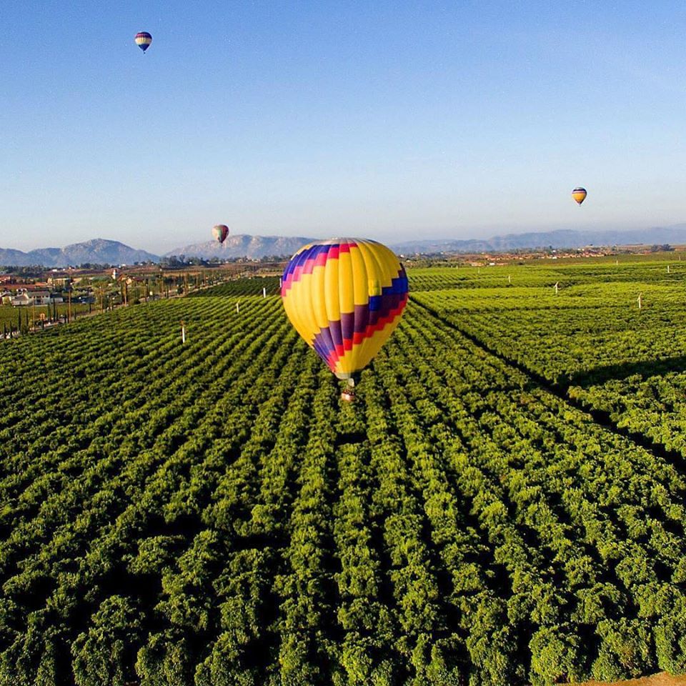 California Dreamin' hot air balloon and ground van before a sunrise flight